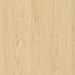 Bruciate Orme Plywood Laminate